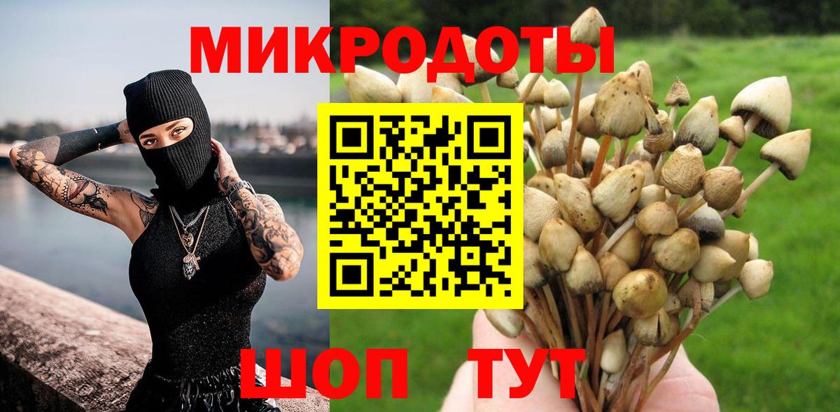 купить наркотики сайты  Псилоцибиновые грибы мицелий  Вход с VPN  Зима  Галлюциногенные грибы Psilocybe 