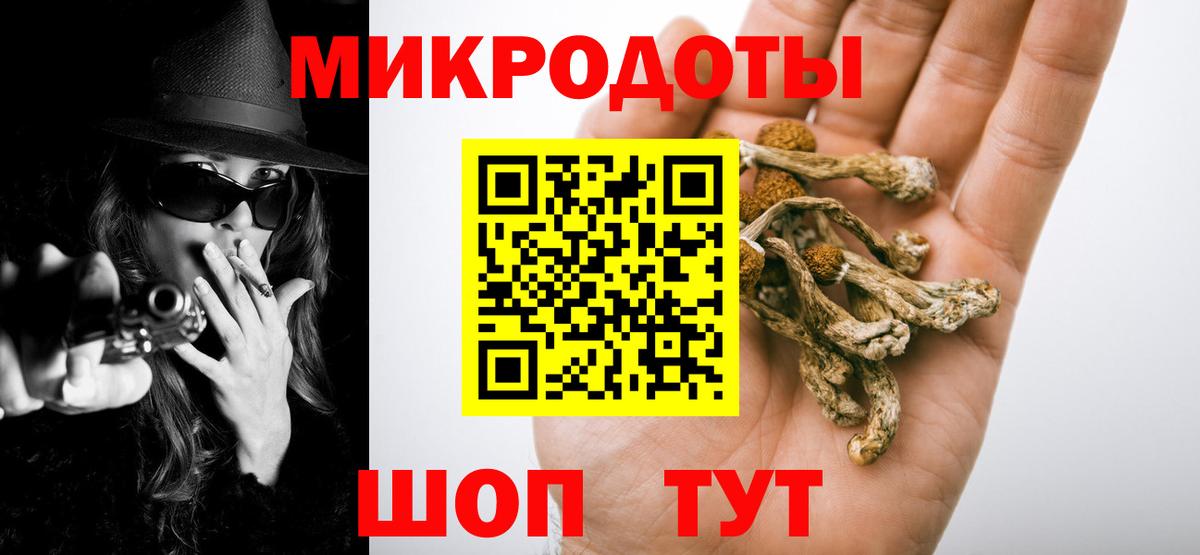 Псилоцибиновые грибы мухоморы Зима