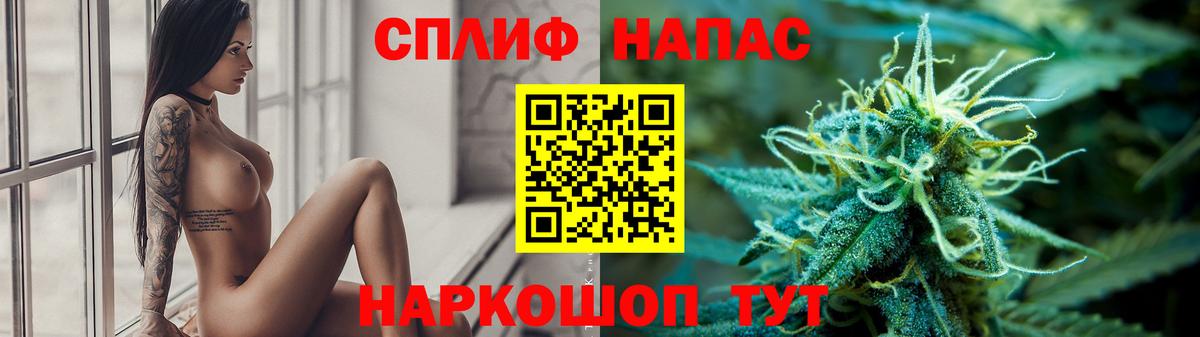 Зима  Конопля сатива  МАРИХУАНА Amnesia  Марихуана OG Kush  Вход с VPN  Каннабис Amnesia 